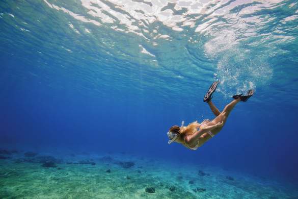 RCI Destinations Cozumel Excursions Scuba Diving River Jordan.jpg.jpg